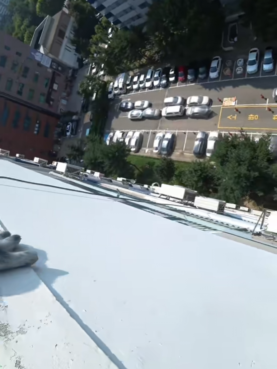 @𝚃𝚜𝚘𝚢 𝙳𝚒𝚖𝚊𝚜☘️🧗♂️