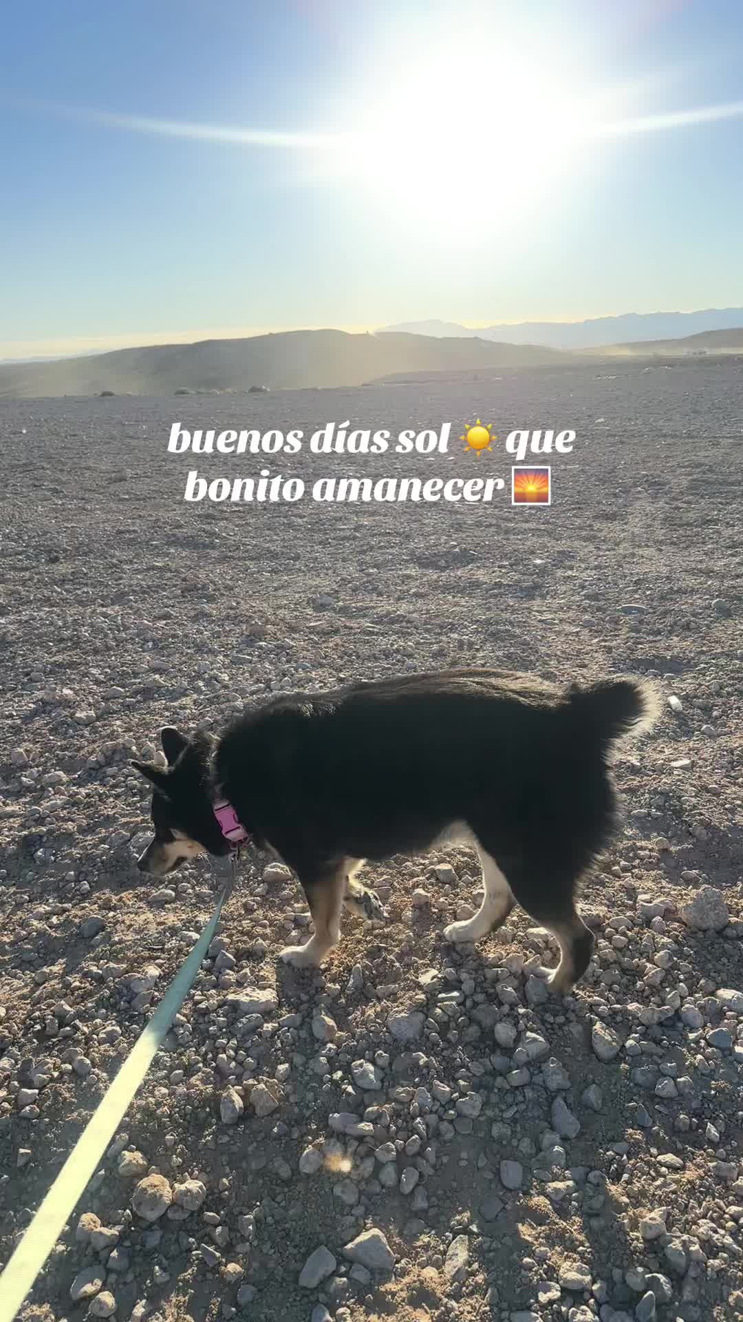 @Norma Pedraza