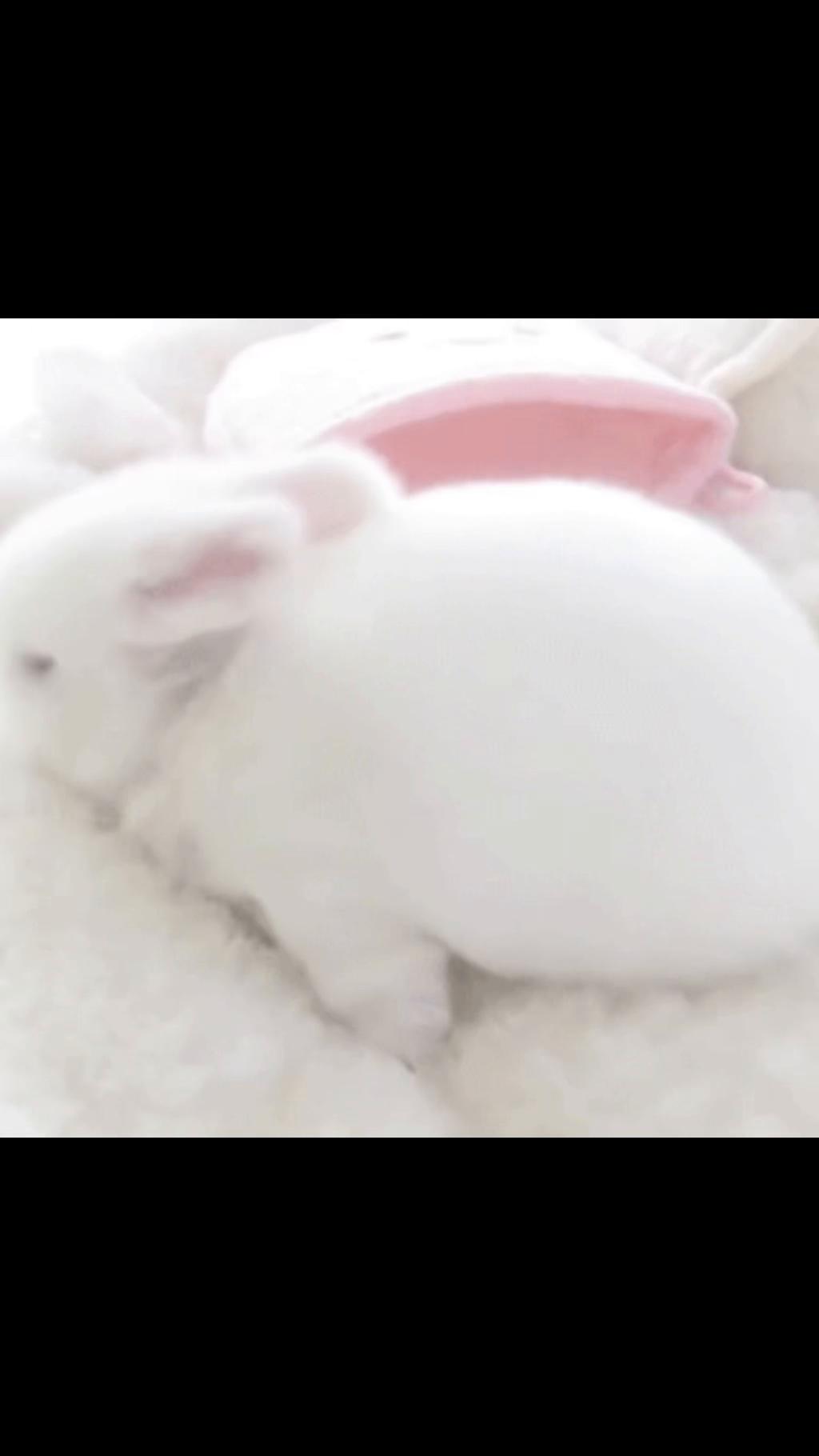 @𝐚𝐥𝐚𝐧𝐧𝐚𝐡🎶
