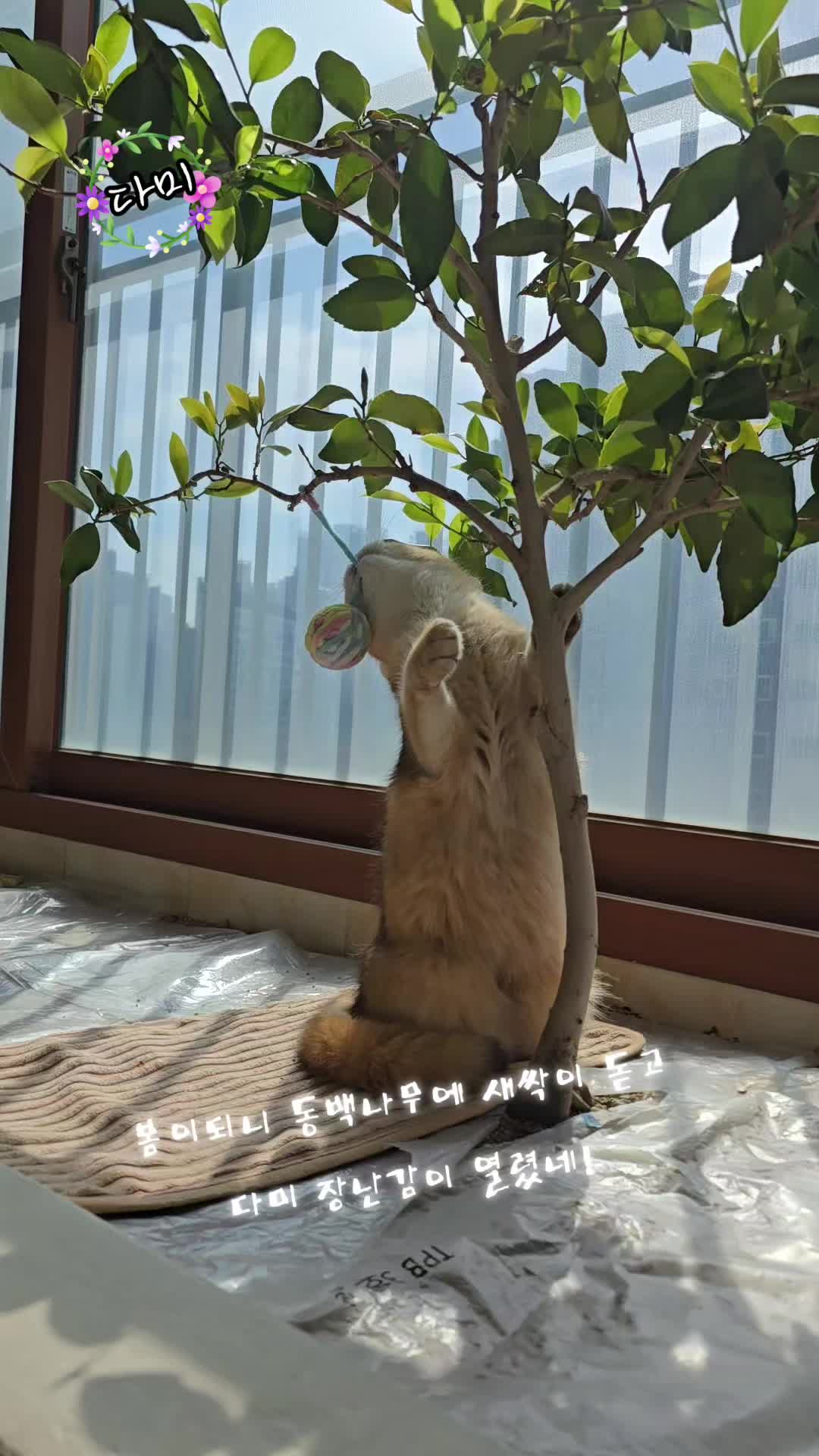 @올마인드