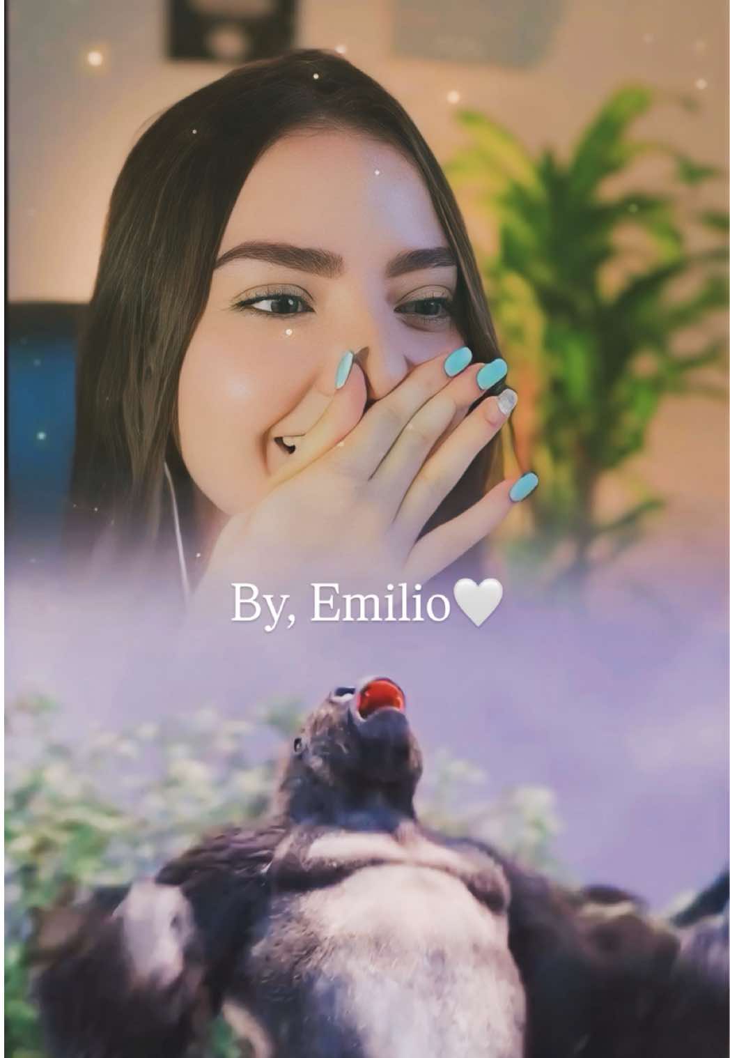 @Valentina Marín 🌙