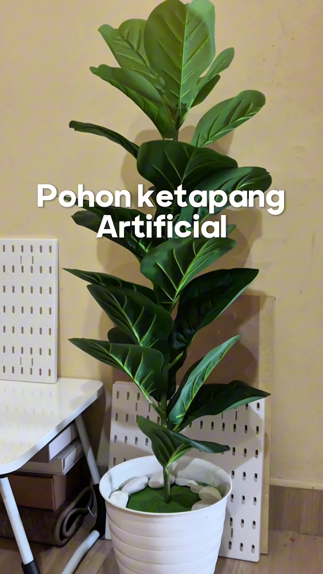 @almey.room𝜗ৎ