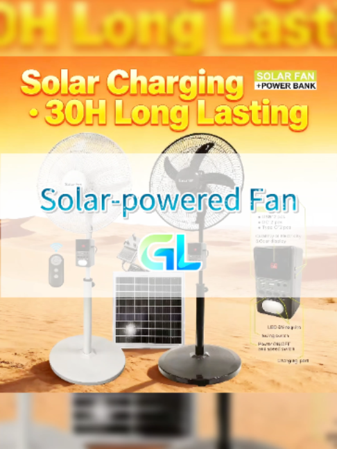 @China Solar (Mr. Qian)