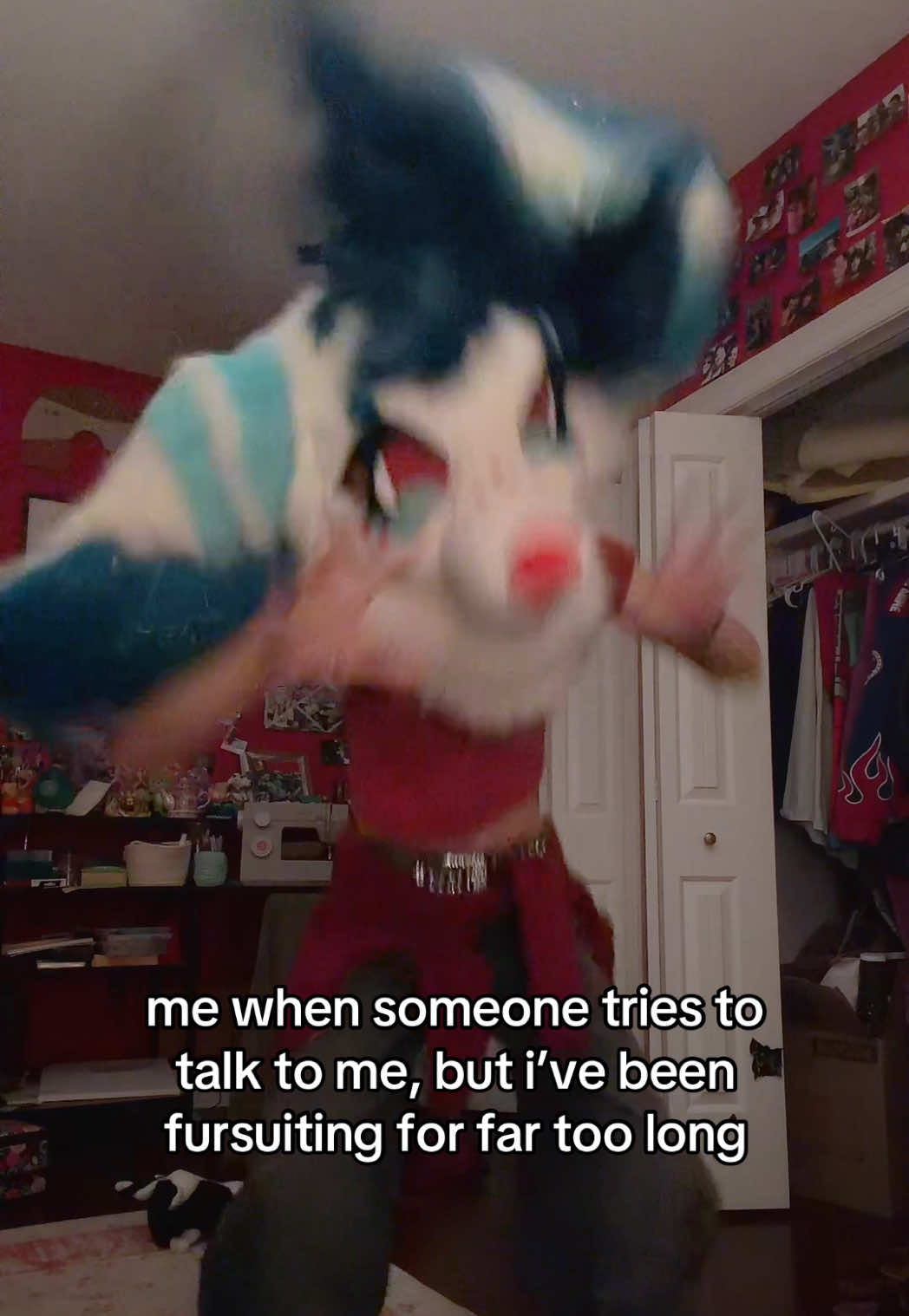 @cat :3 🔜 TTFC