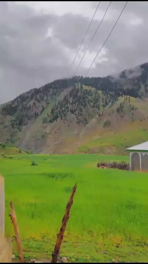 @شعیب عالم  ڈی کے