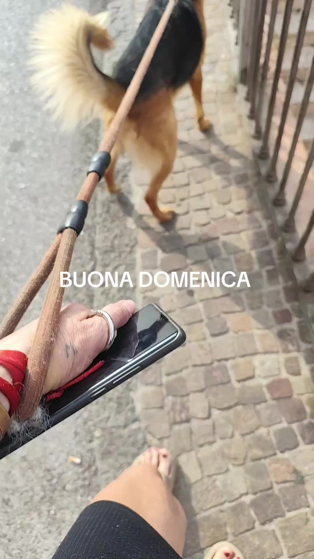 @FUEGOSSELVAGGIATYSON