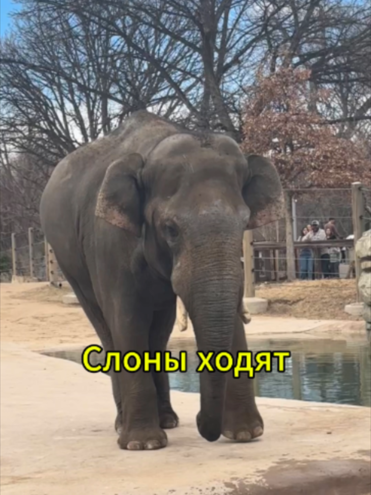@aboutourworld1