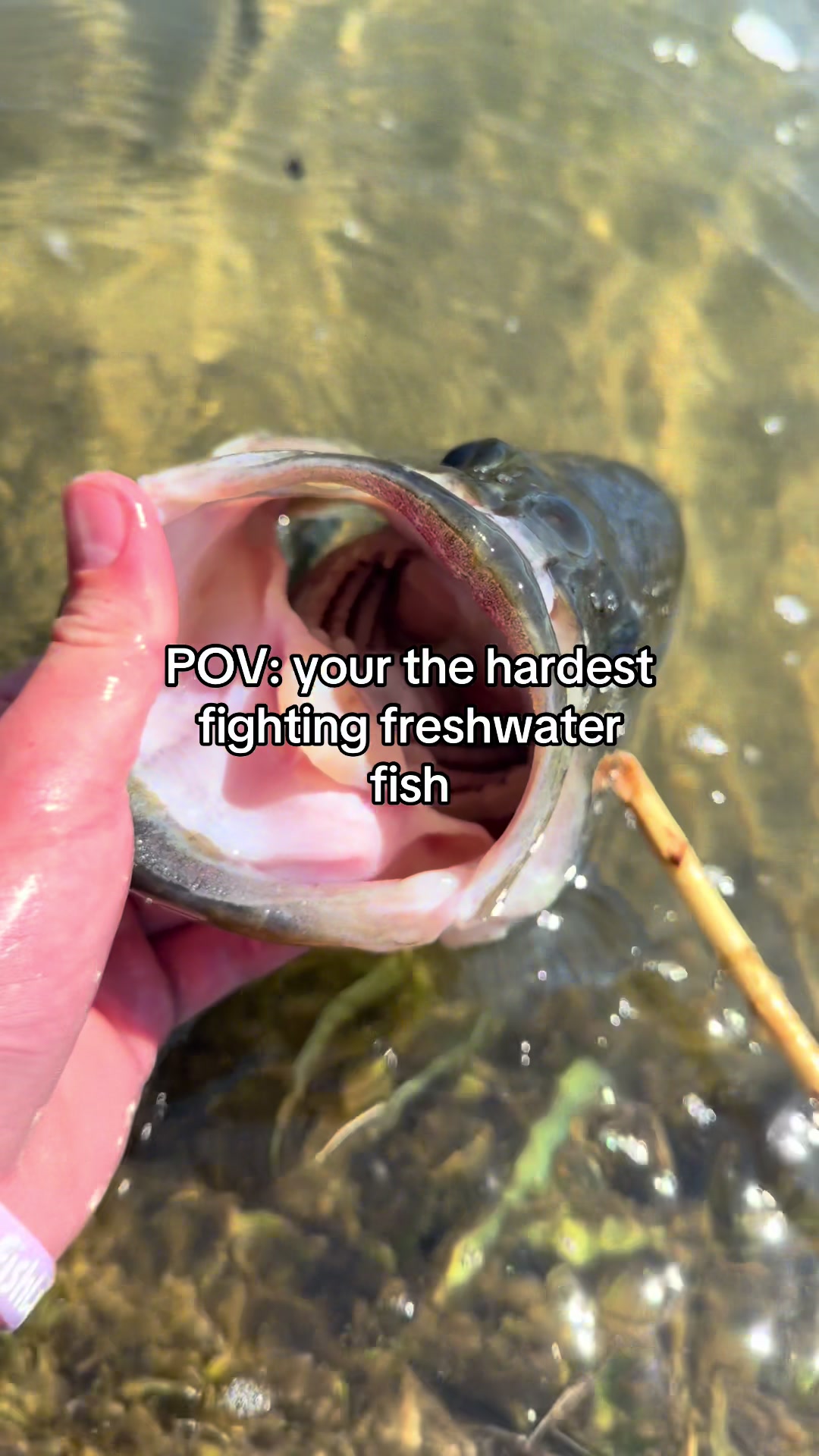 @FattBassFishing