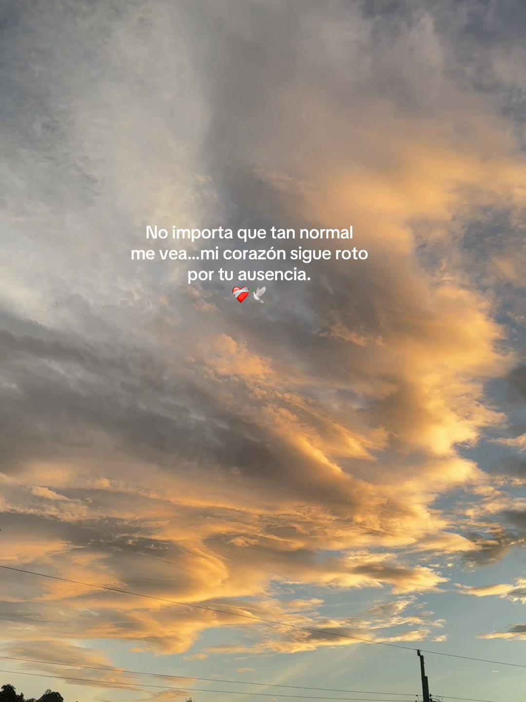 @Hasta el Cielo🤍