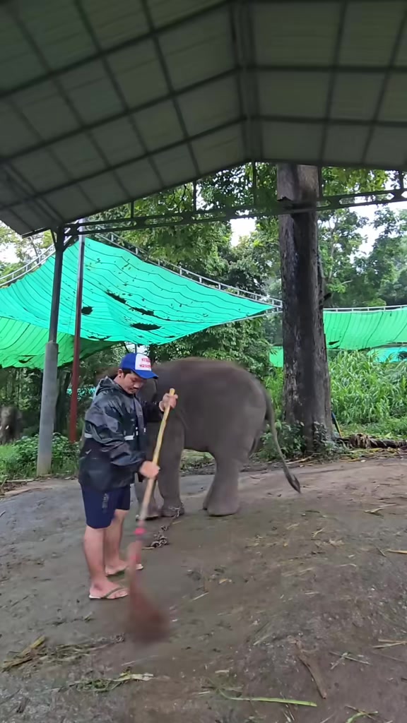 @ควาญแดง พลายภูพิงค์
