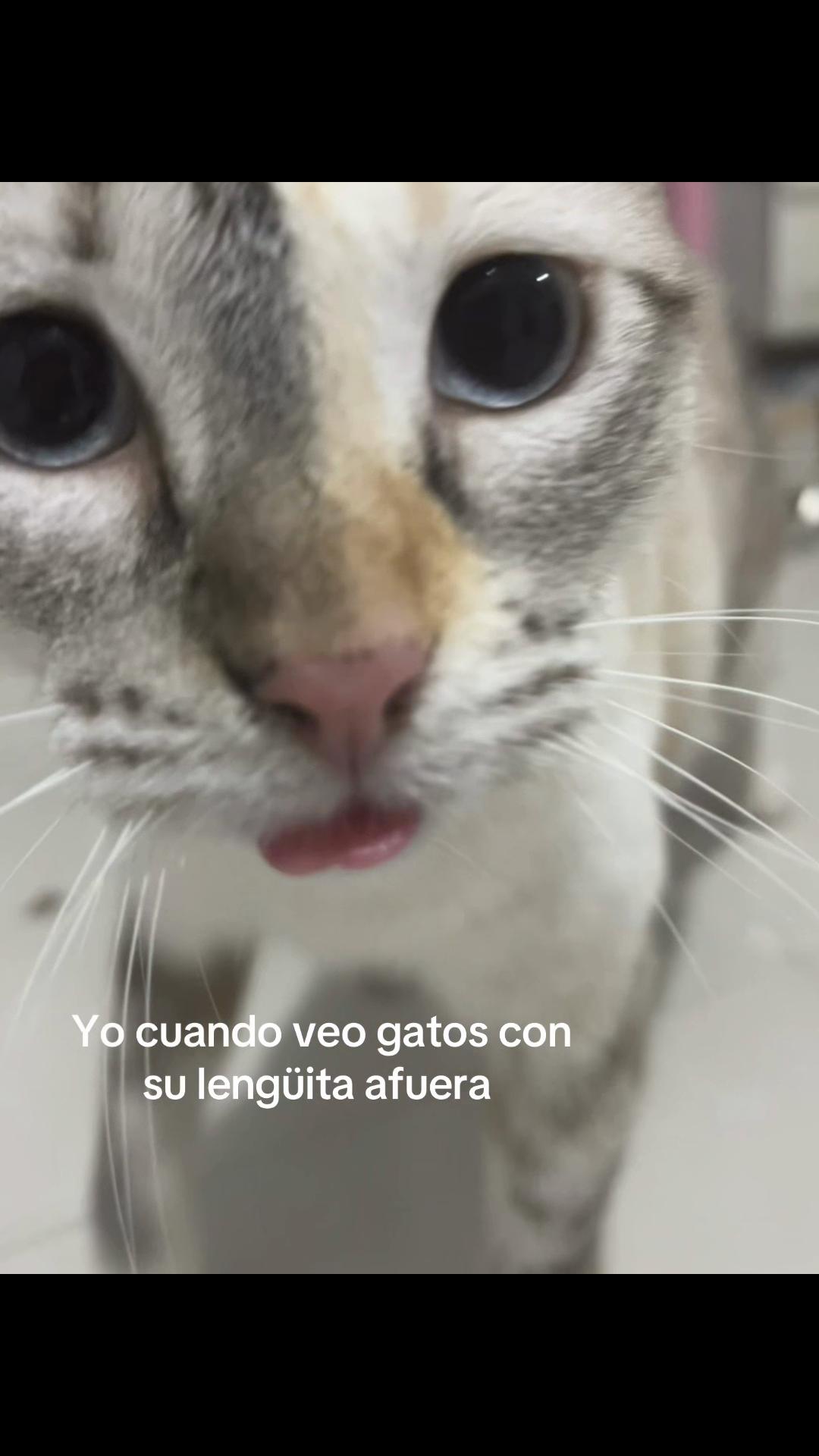 @Maky