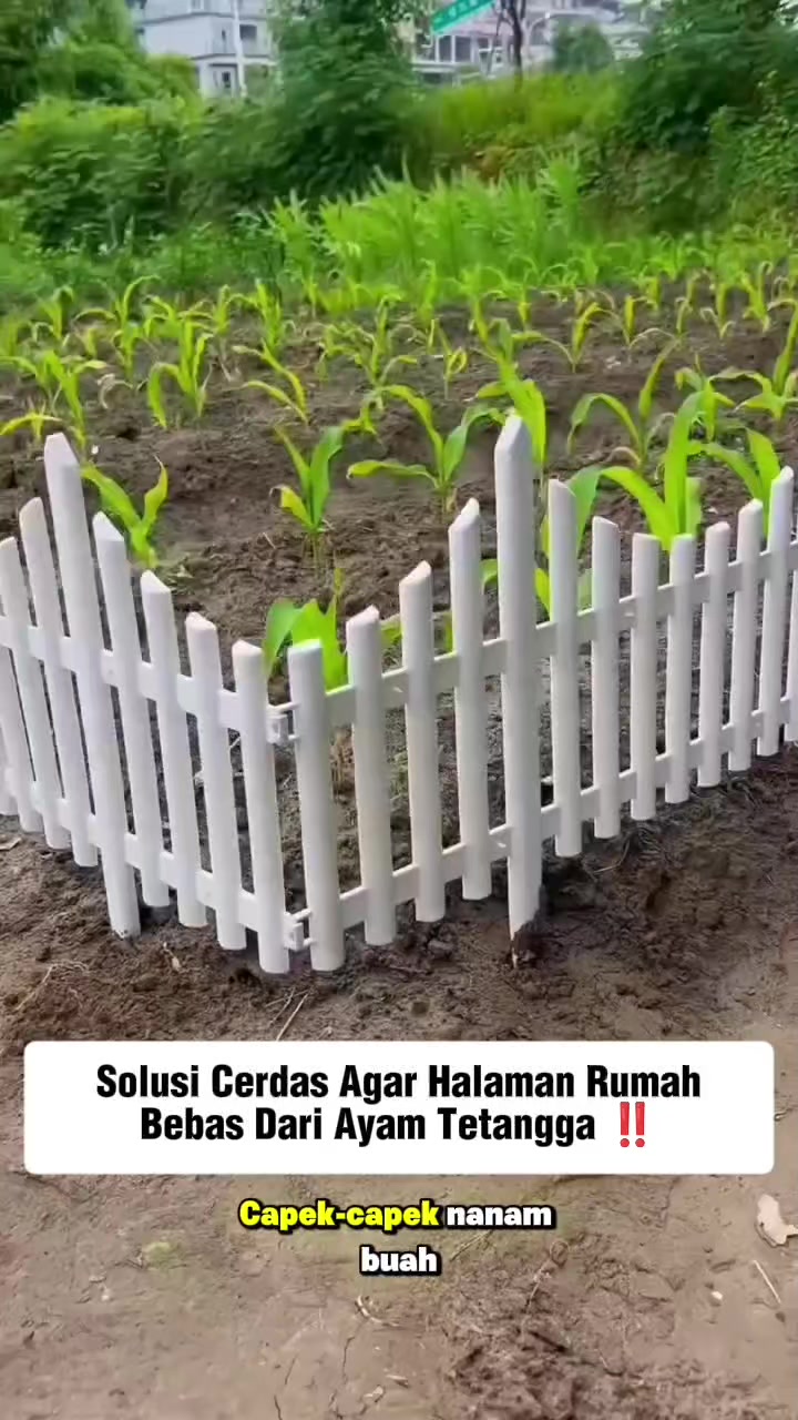 @Inspirasiperabotanunik