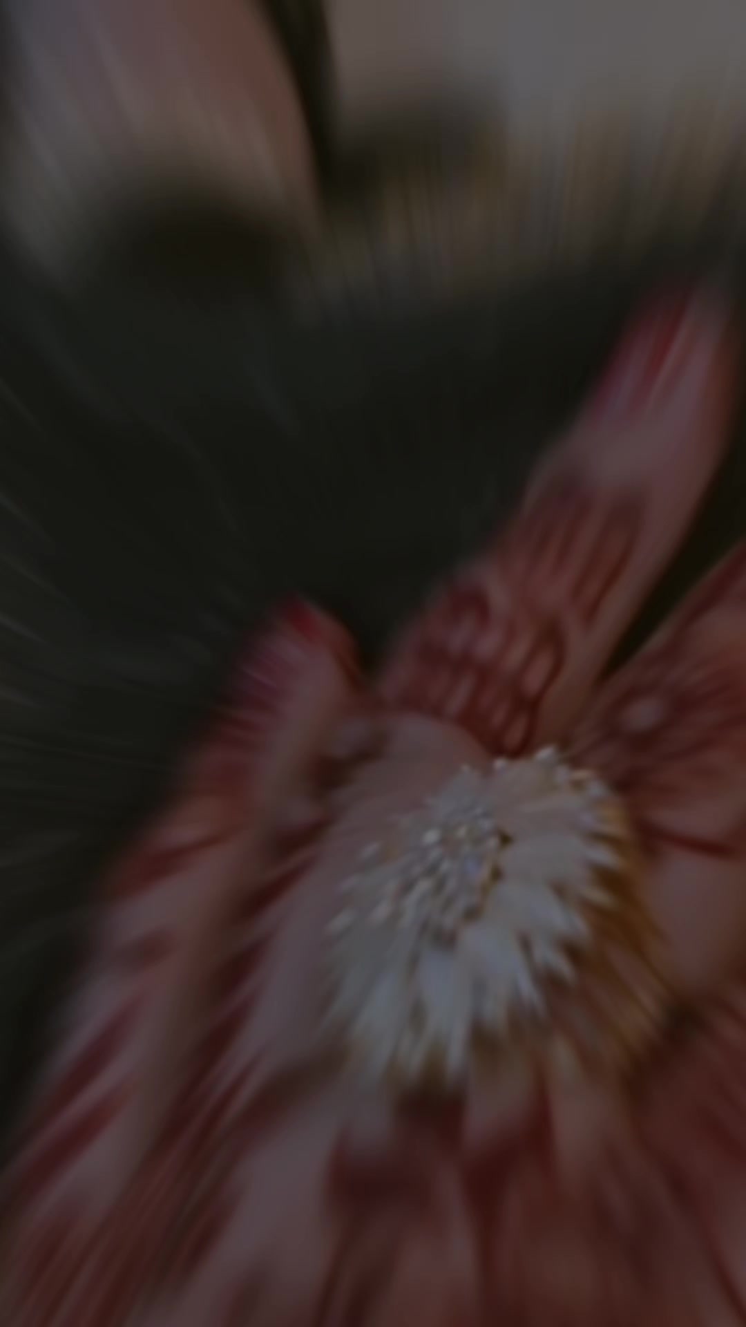 @Ĝůŕîỳã Źêêśĥãń❤️