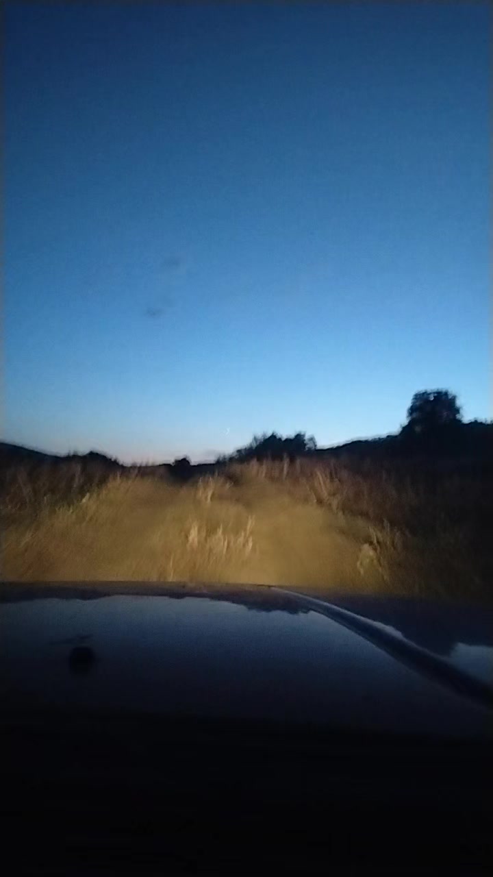 @😊 РЫБКА😊