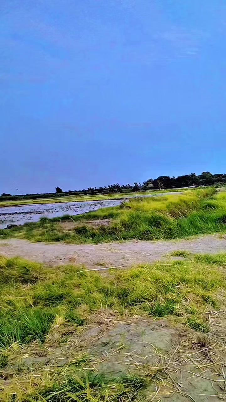 @Rahul kumar110