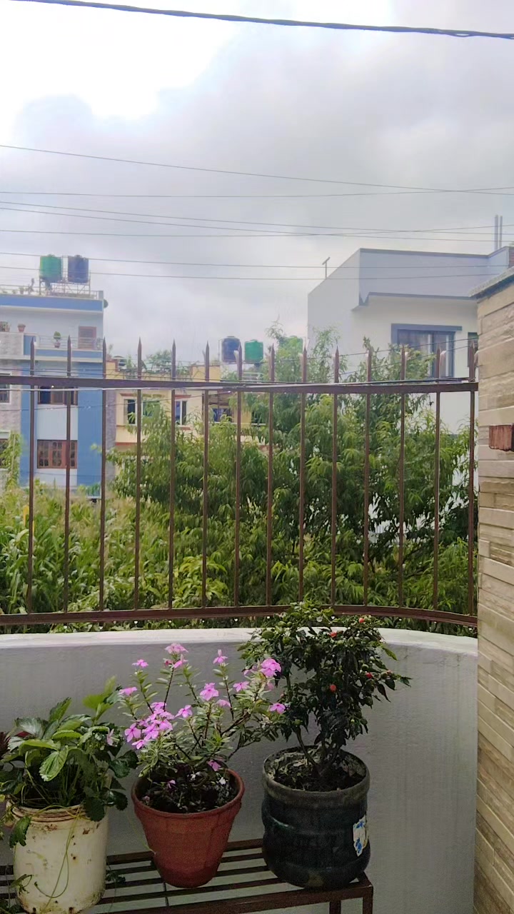 @mina adhikari