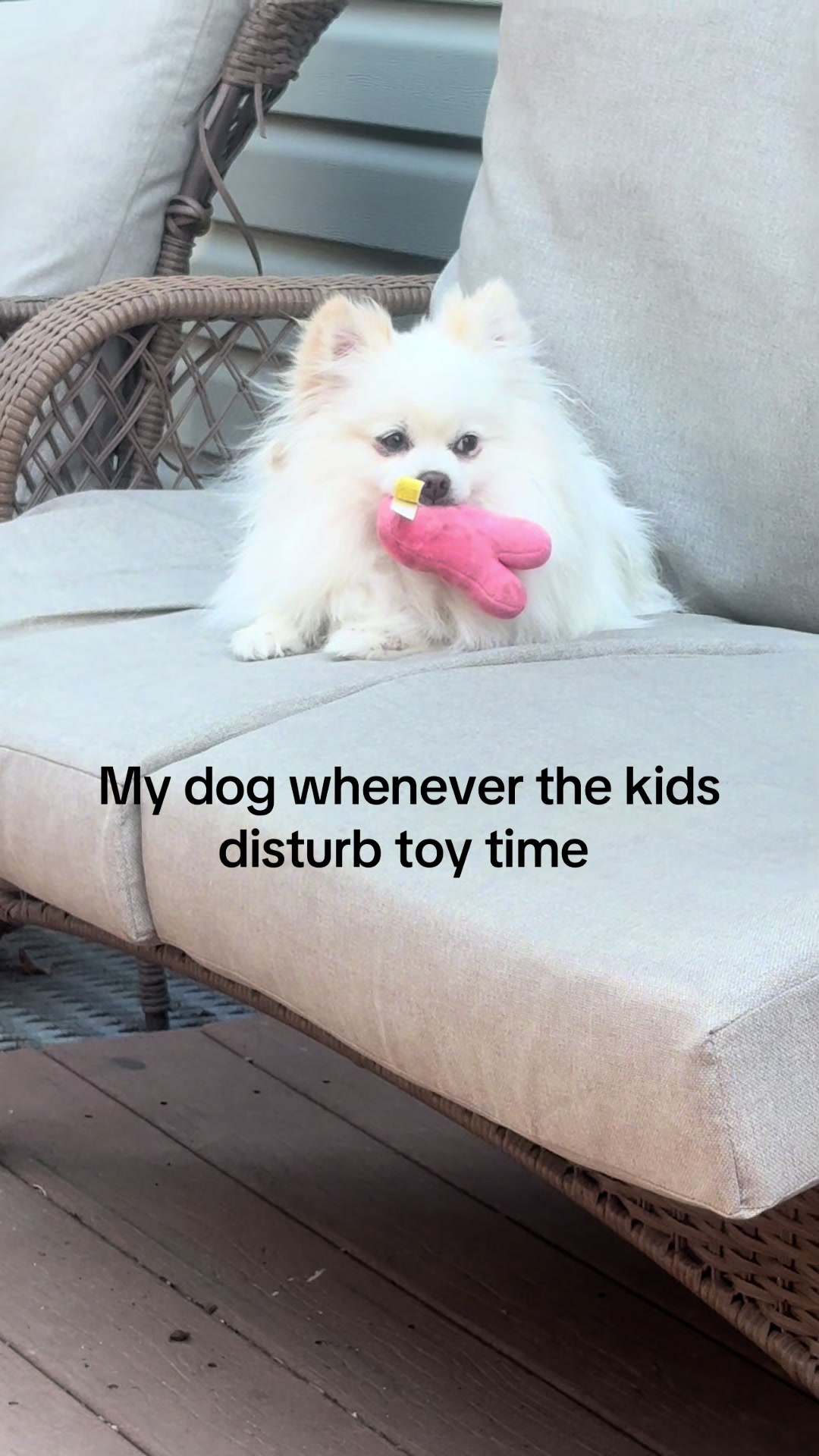 @Nicole