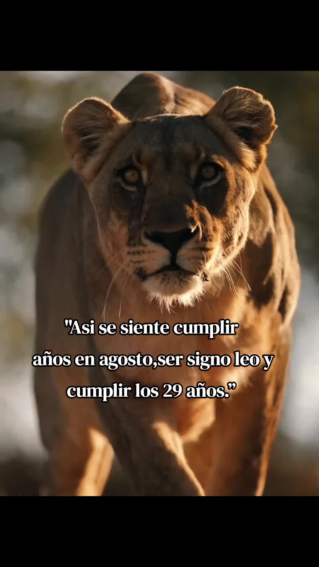 @BelyanaMonsalve🇻🇪❤️