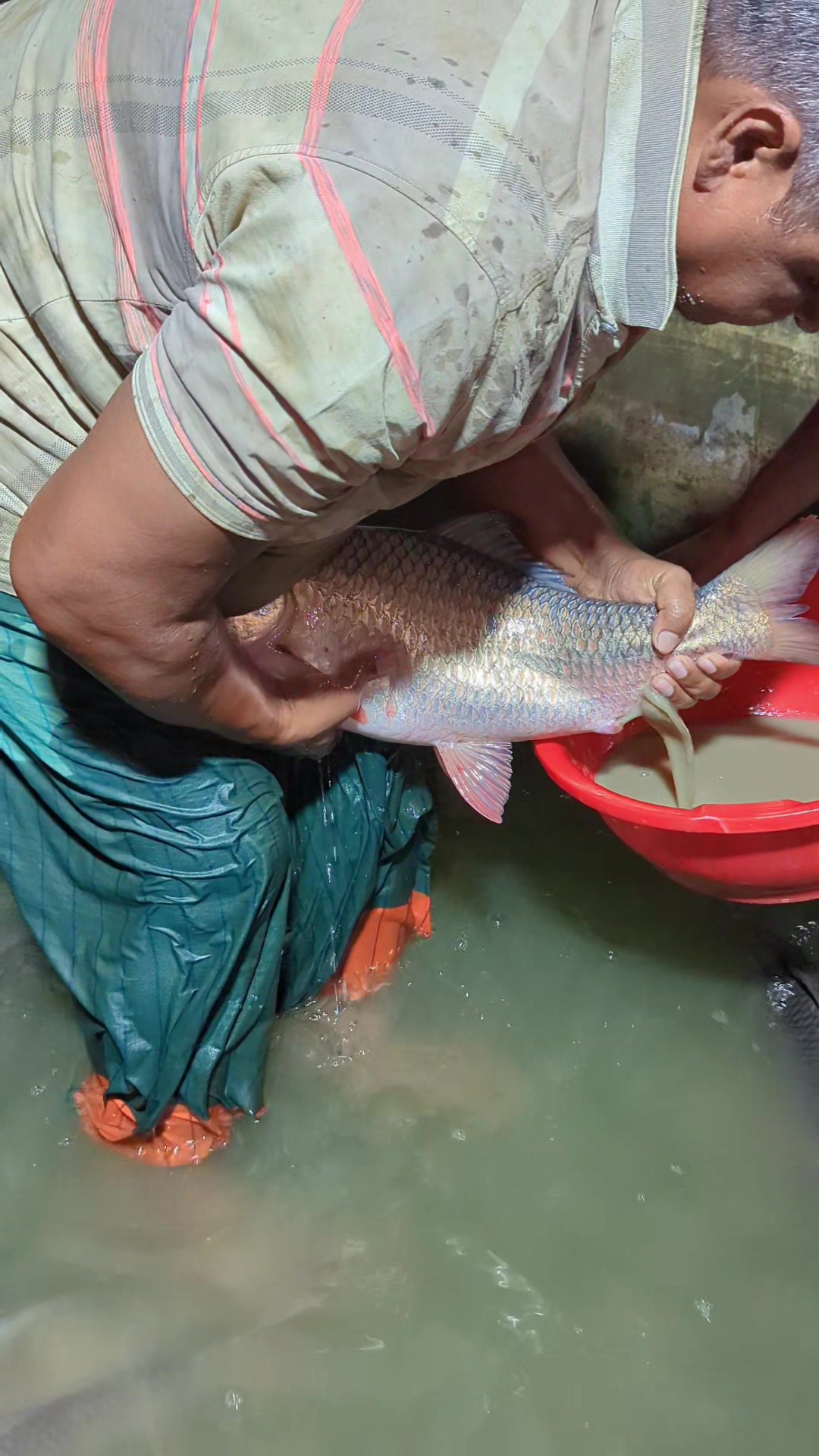 @Fish Lovers Bangladesh
