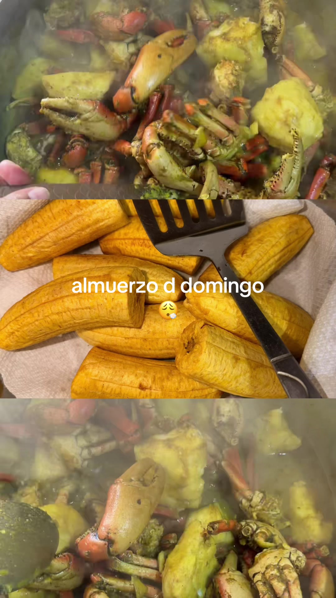 @NEGRA 45 +