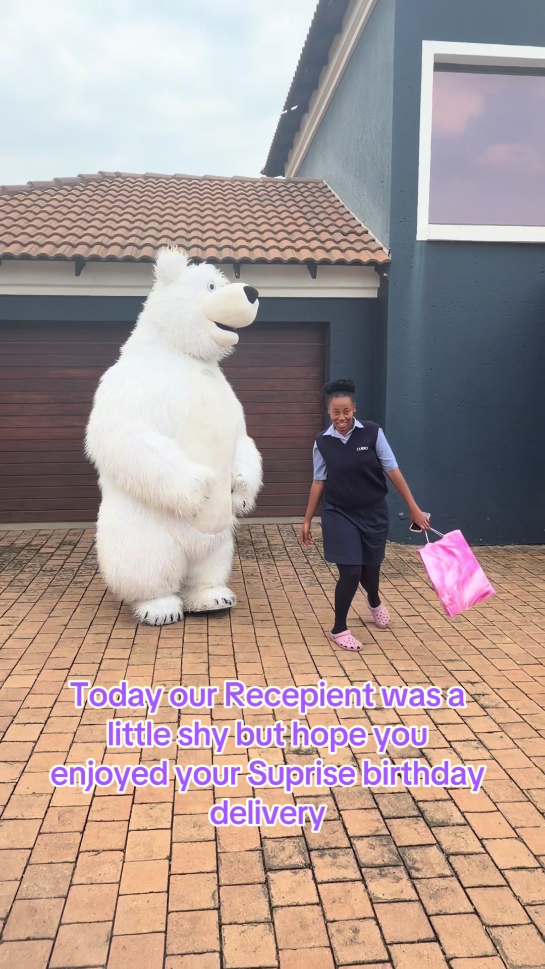 @dancingmascotssa