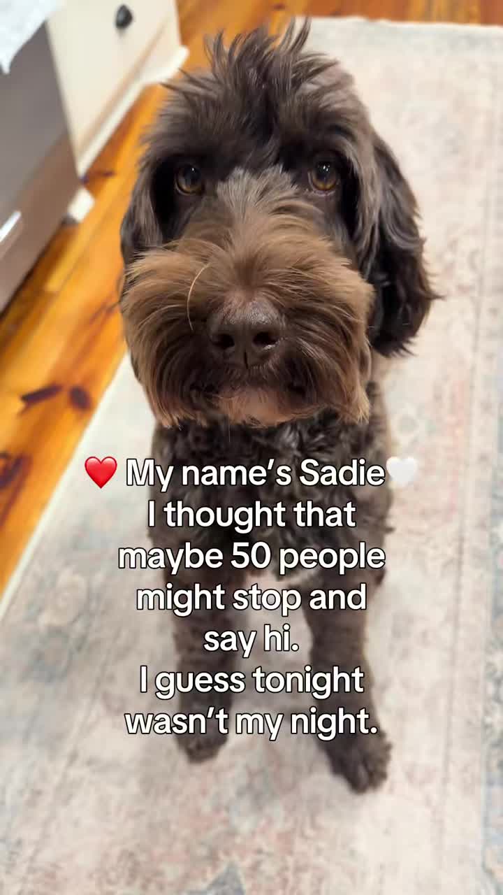 @Sadie the Doodle