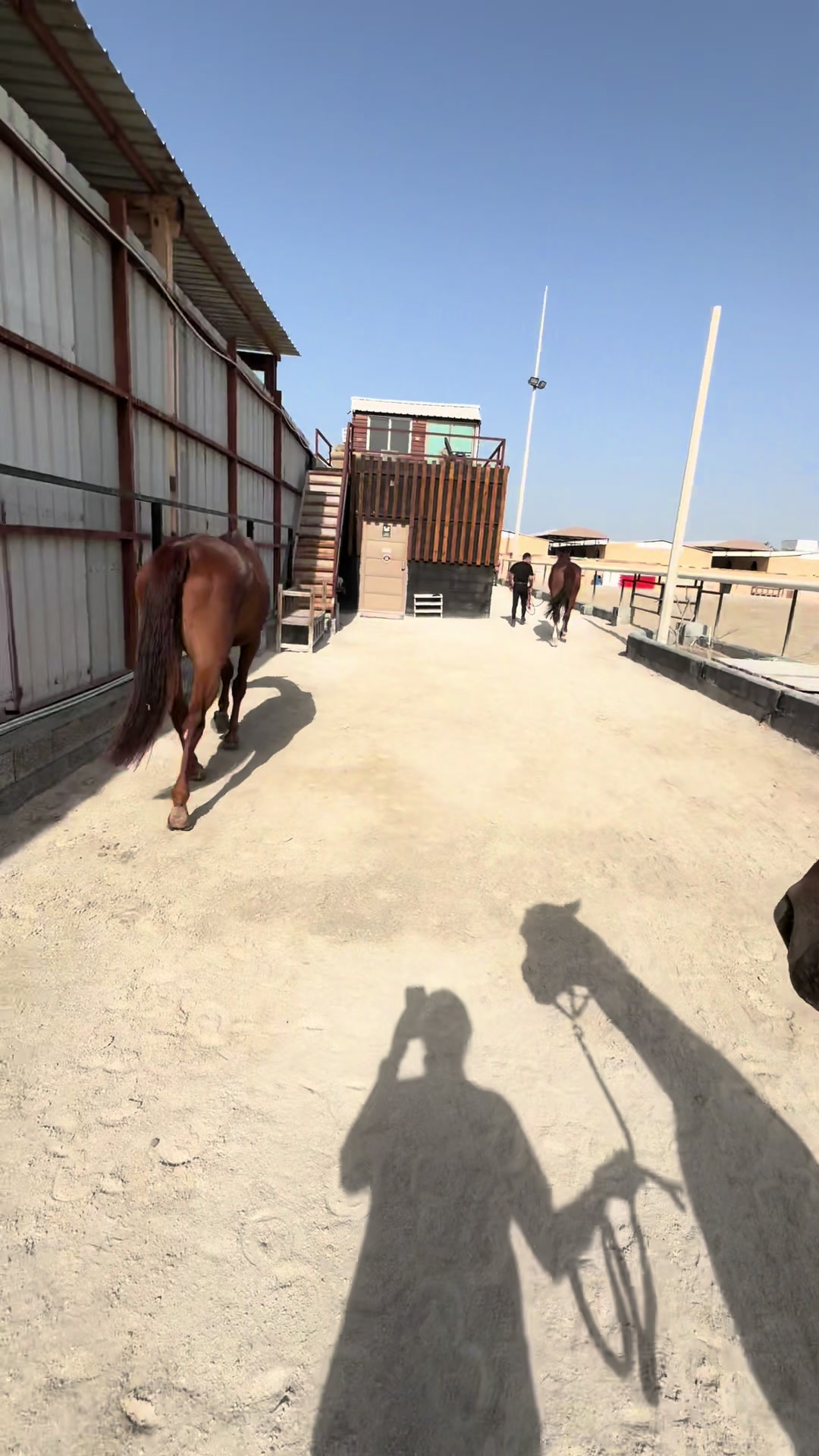 @Al Bosta Equestrian