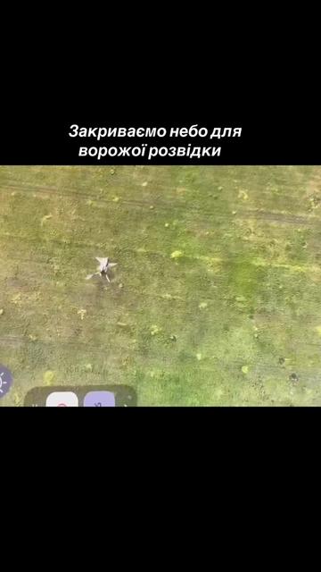 @KARAKURT