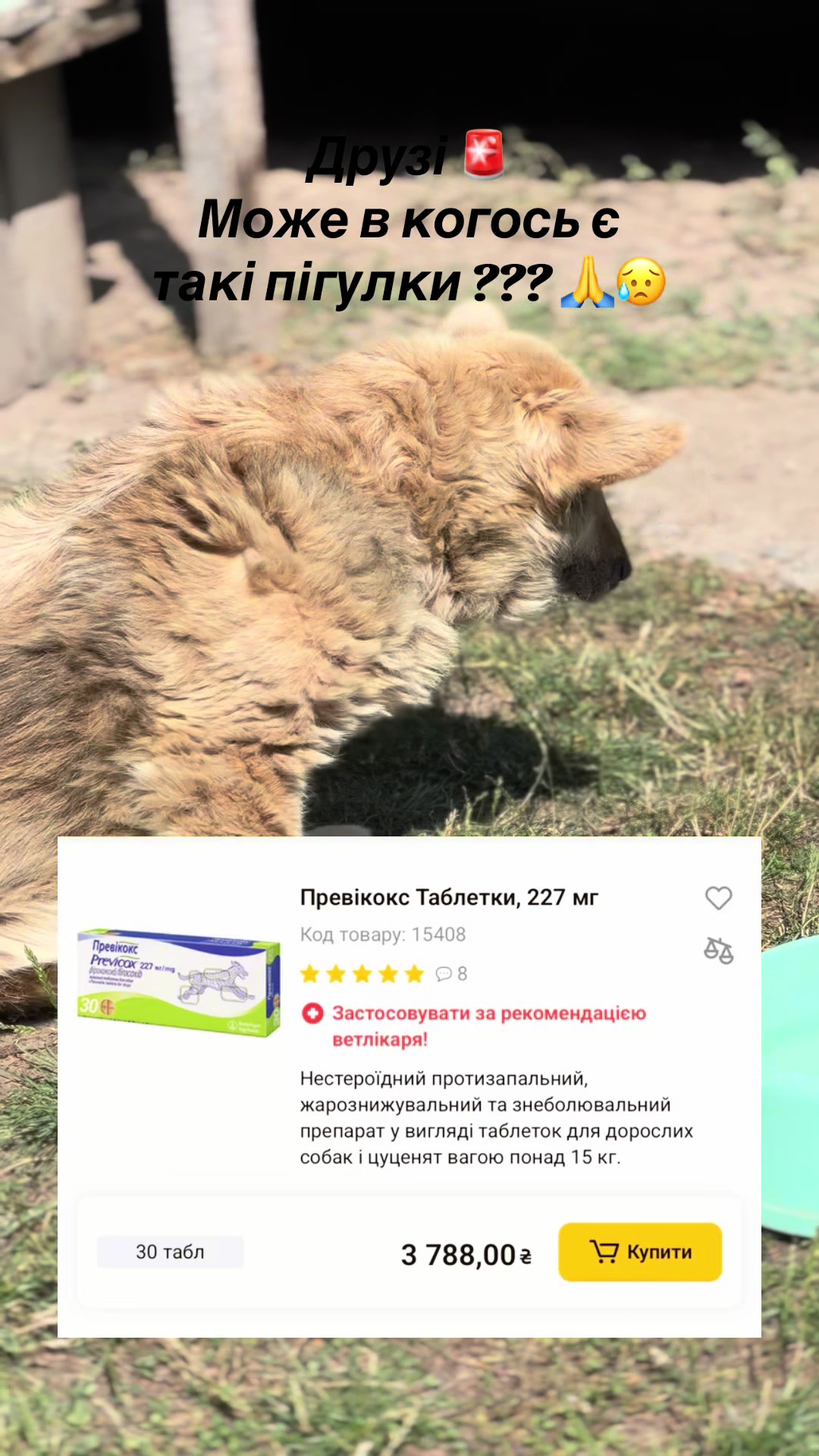 @tanya.help.animal