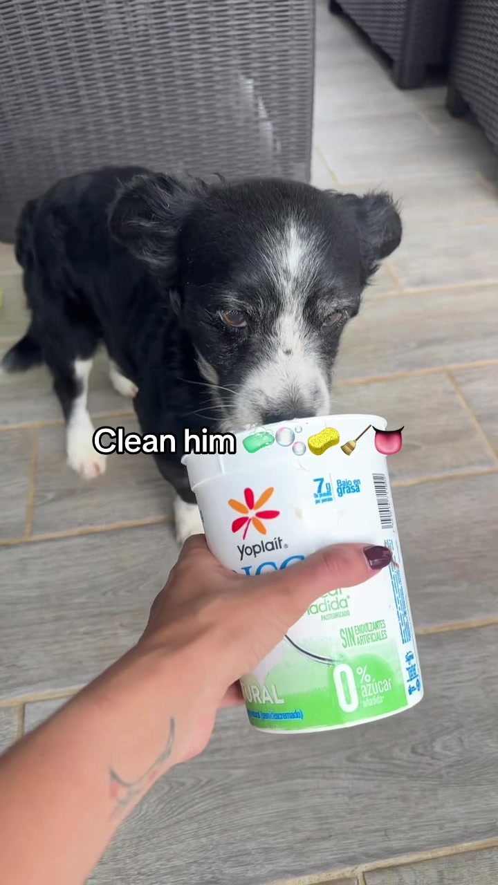 @𝗖𝘆𝗻𝗱𝗶 🩵