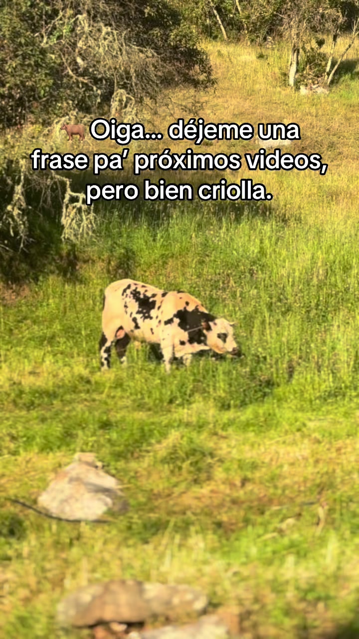 @MiGanado-Boyacá