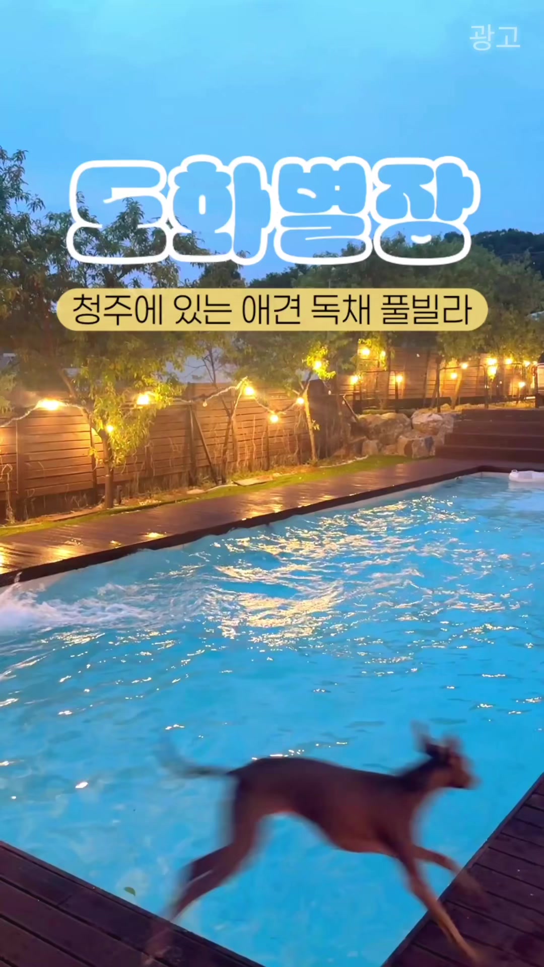 @덕구누나 청주맛집