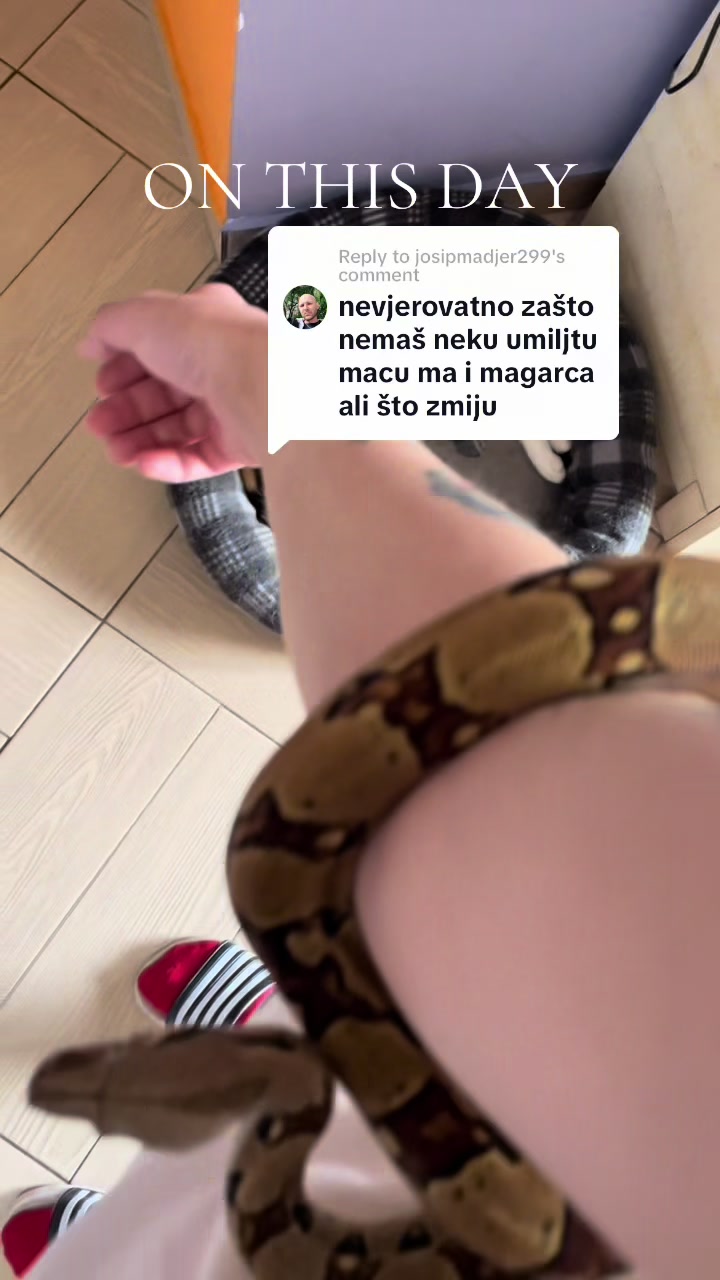 @Maja Kovijanic