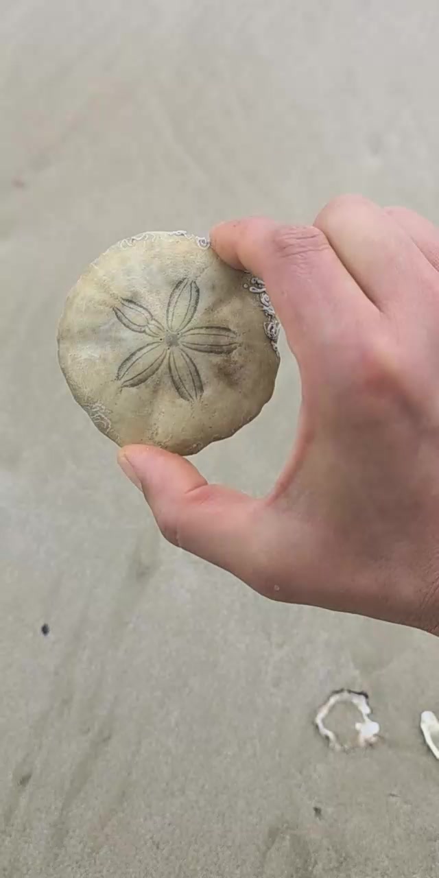 @커피향