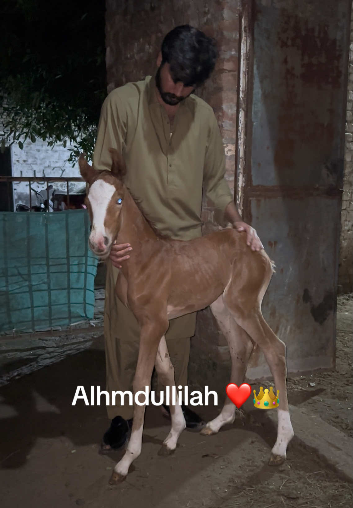 @ملک ابراھیم اعوان⚜️