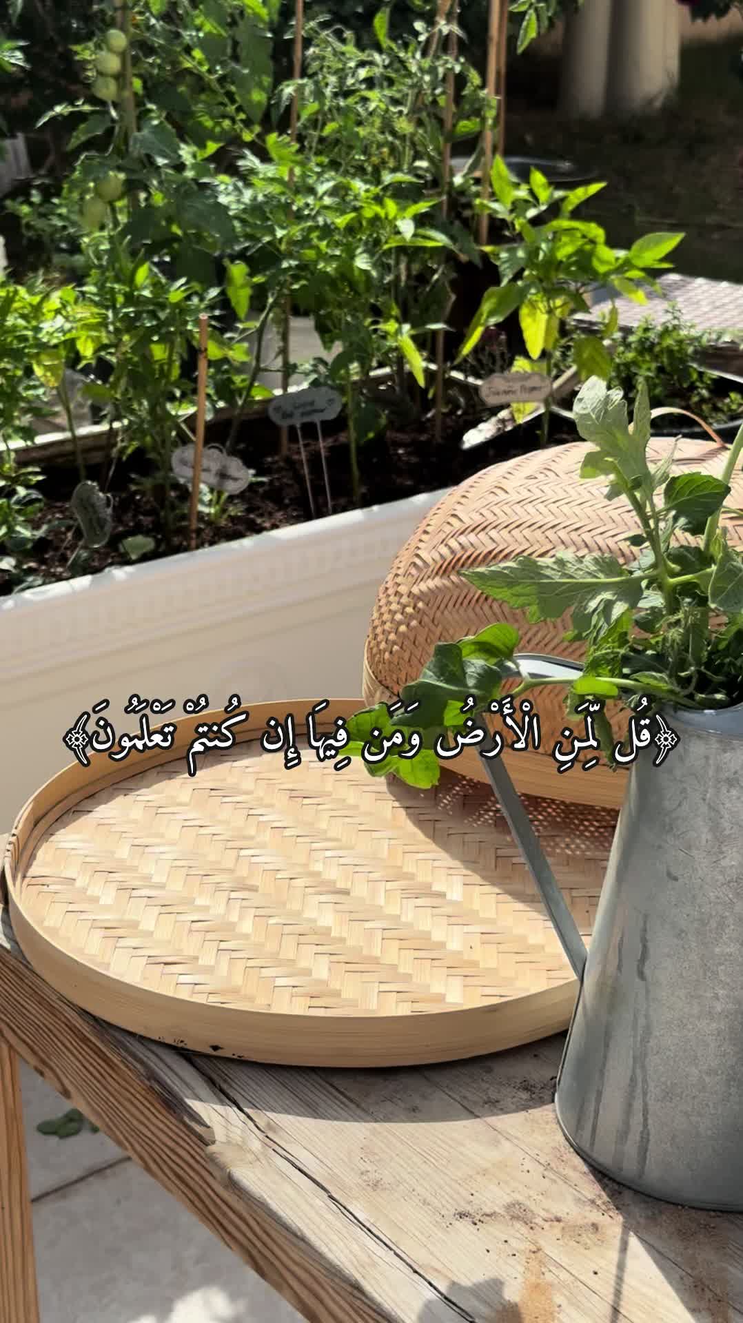 @عالم سرور🌿