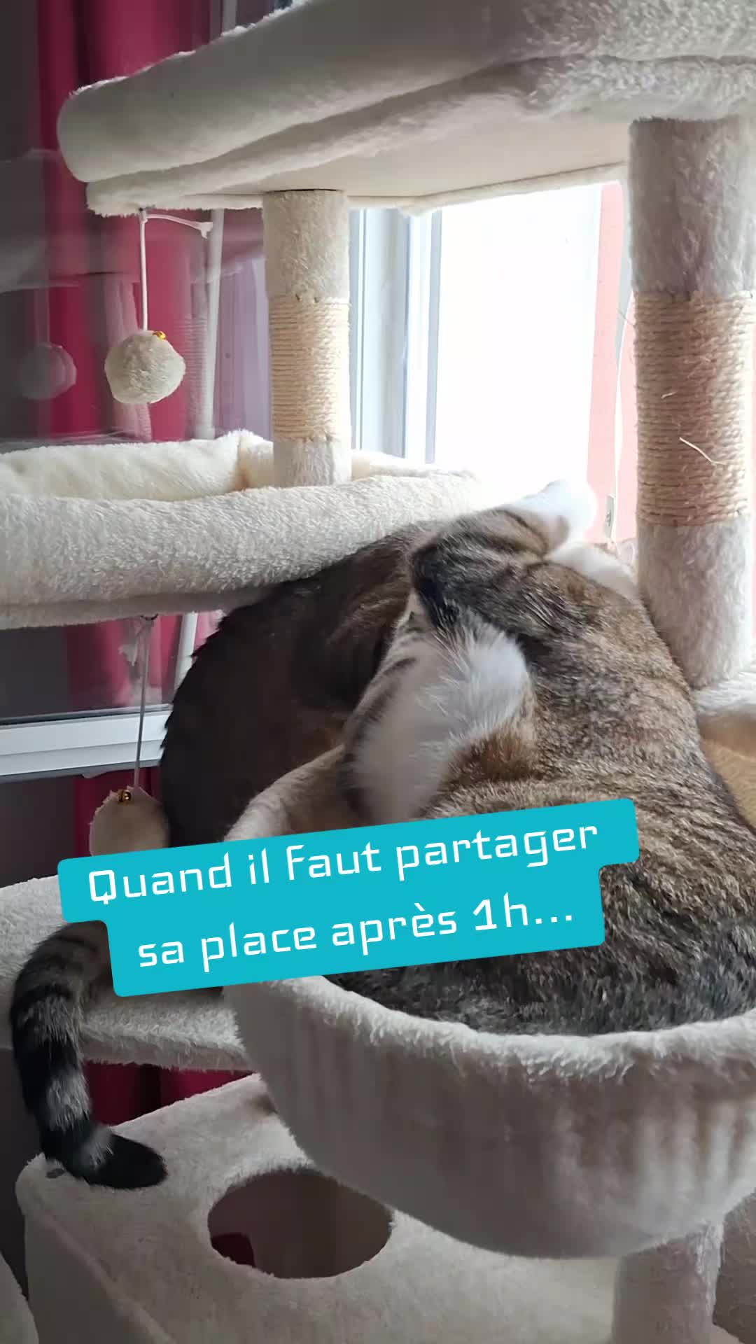 @Kitty et Jul