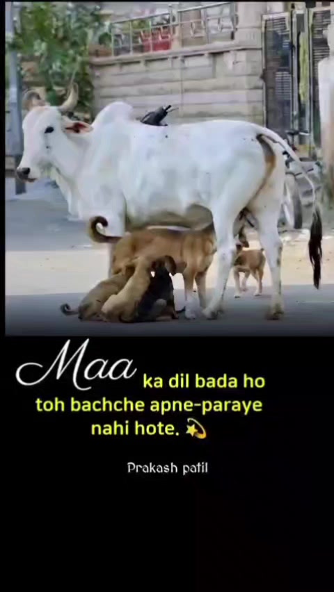 @Sanatana dharma