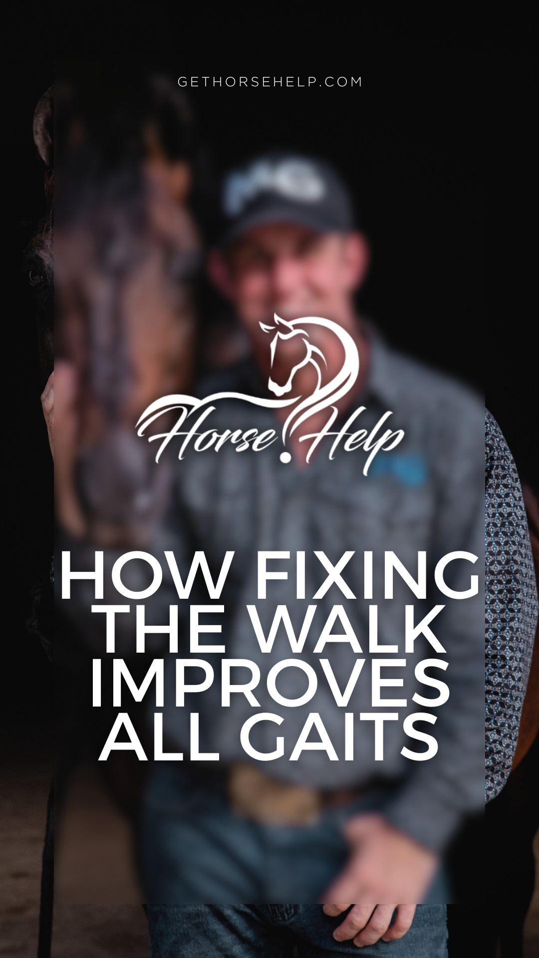 @Horse Help