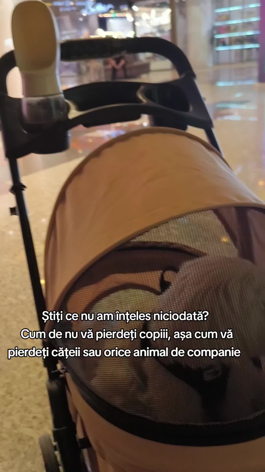 @🐾 BUBI 🐾