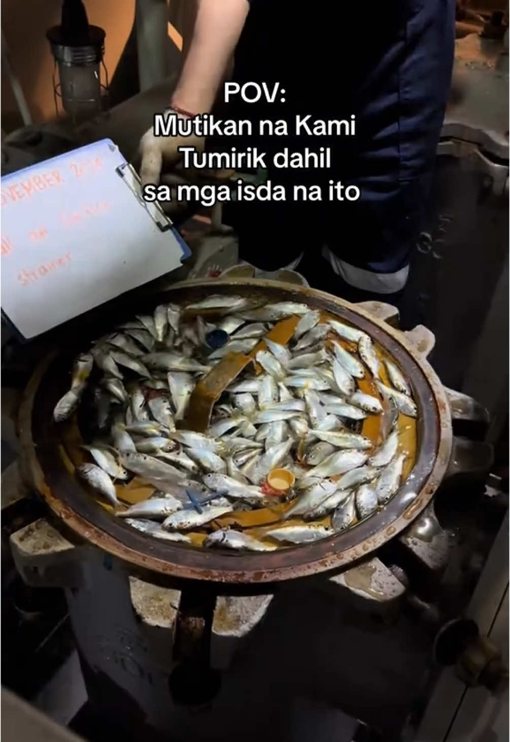 @Marlon Fuentes