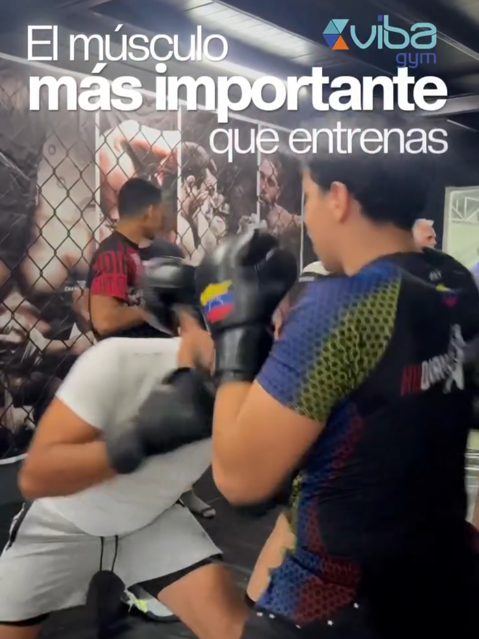@Vibagym