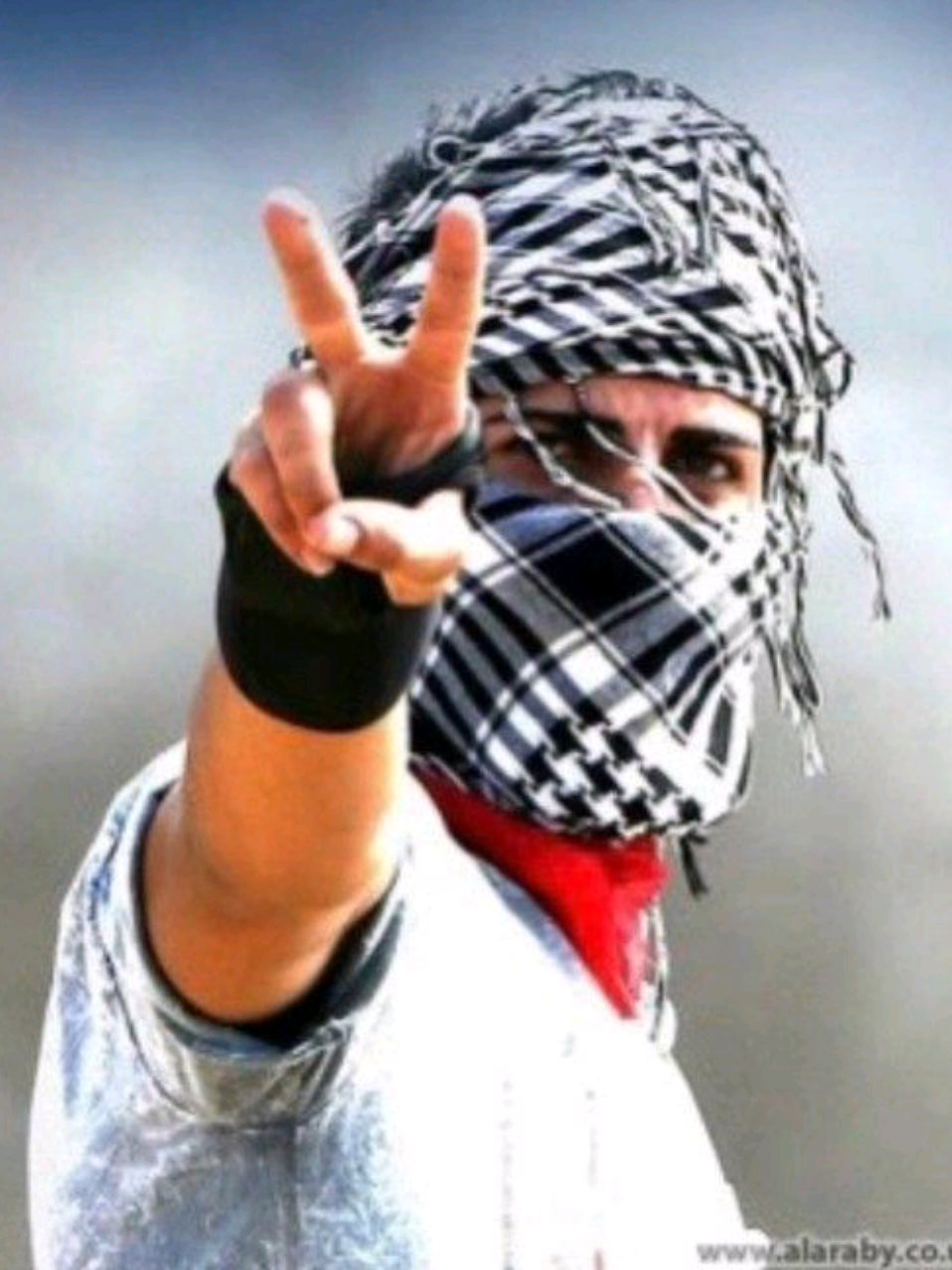 @✌️ Free Palestine 🍉🤍🌍💙😎