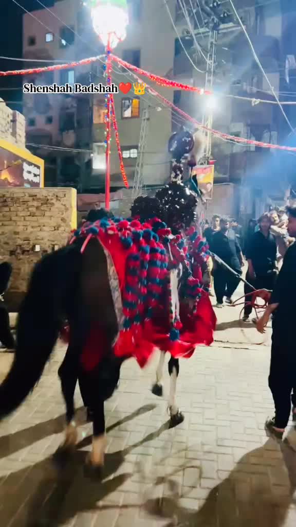 @سَاحِل عَلی⚜️
