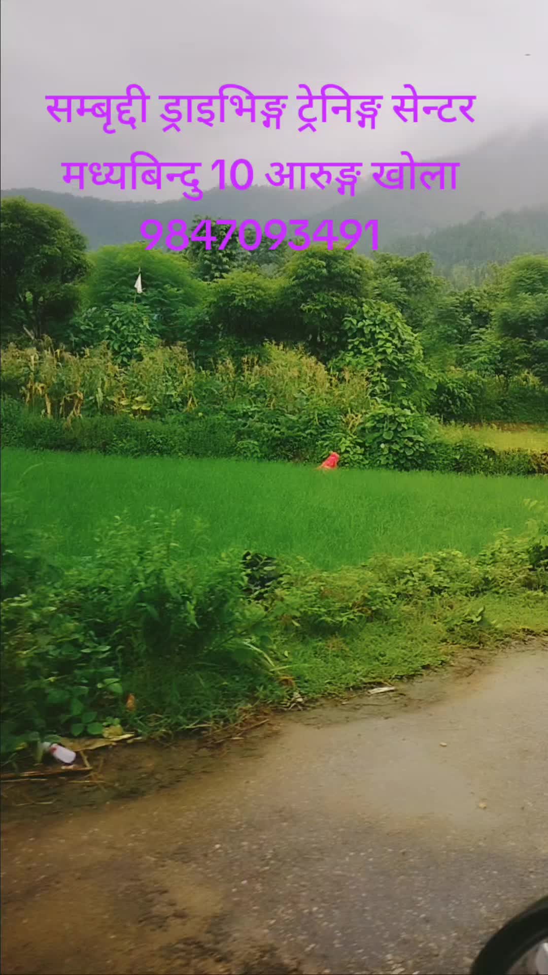 @बासु कोइराला (Basu Koirala)