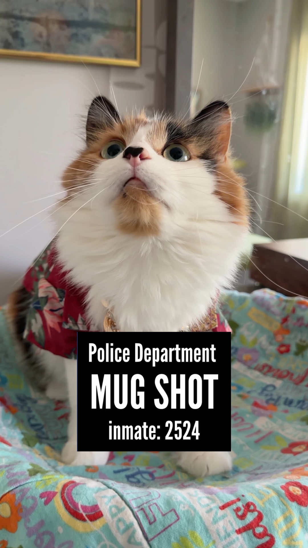 @The Oreo Cat