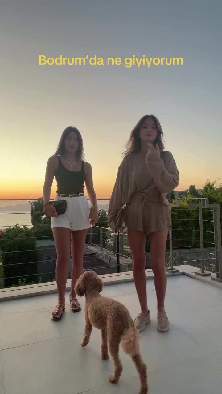 @minarslaan