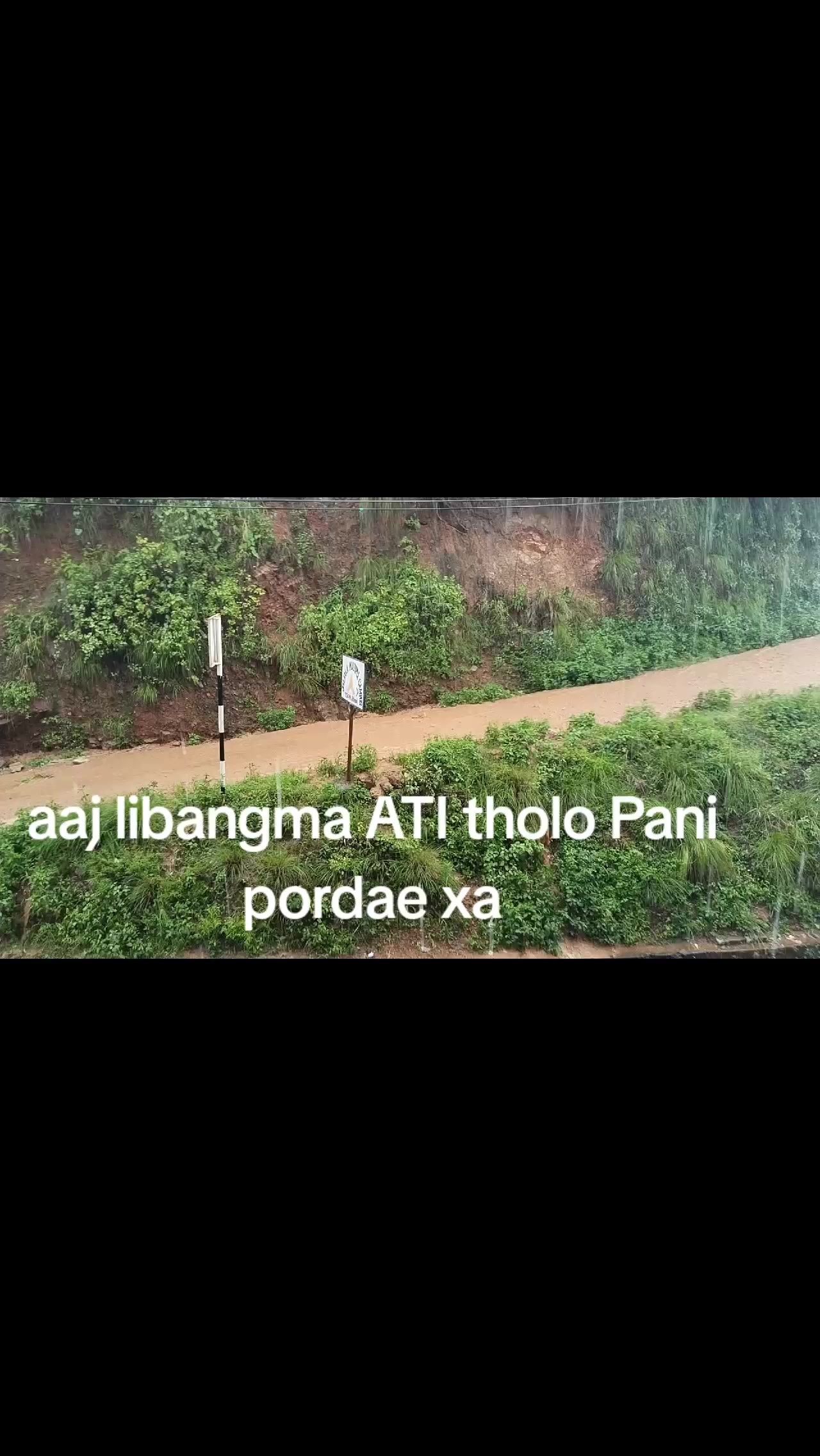 @Sanurasaili