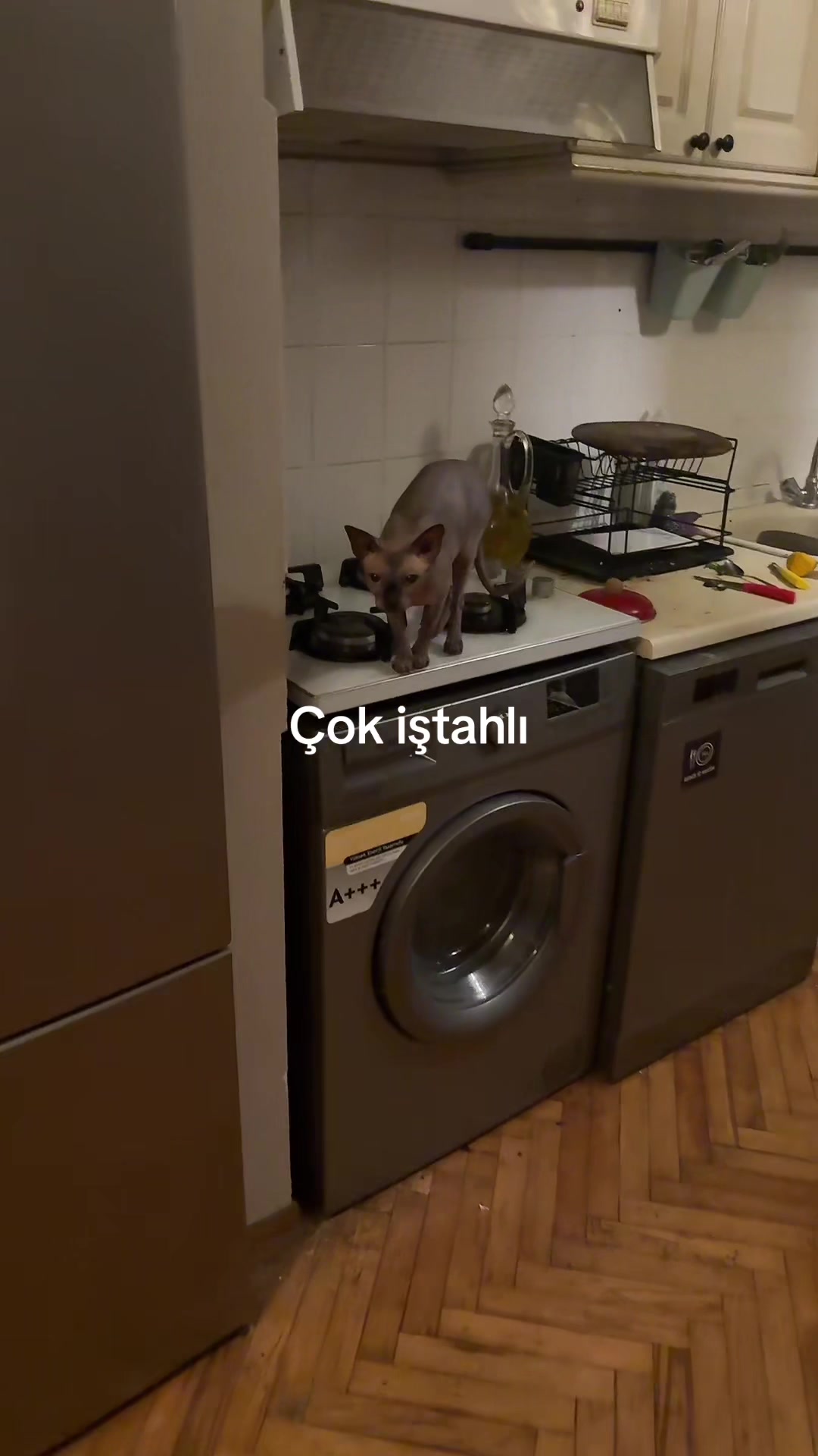 @Larin