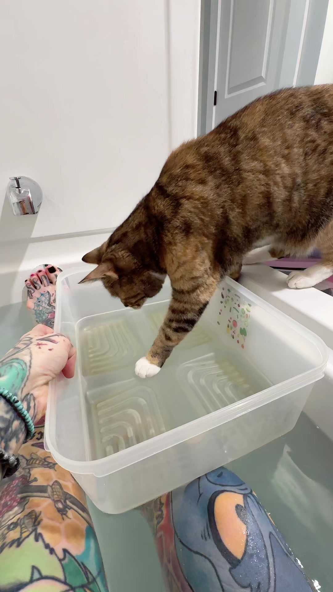 @tattooed_catlady🖤